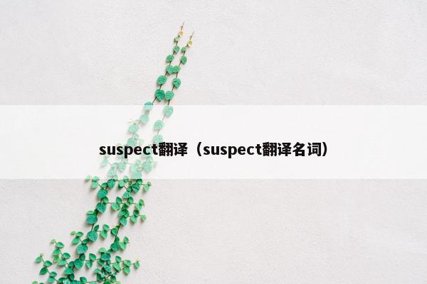 suspect翻译（suspect翻译名词）