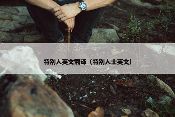 特别人英文翻译（特别人士英文）