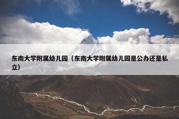 东南大学附属幼儿园（东南大学附属幼儿园是公办还是私立）
