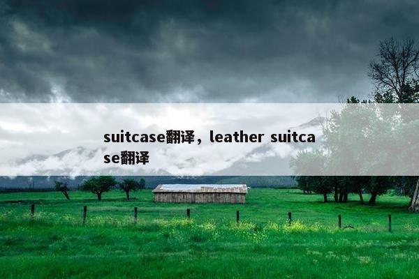 suitcase翻译，leather suitcase翻译