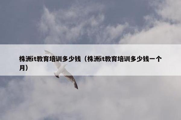 株洲it教育培训多少钱（株洲it教育培训多少钱一个月）