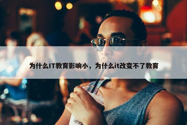 为什么IT教育影响小，为什么it改变不了教育