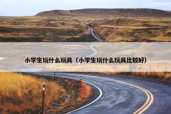 小学生玩什么玩具（小学生玩什么玩具比较好）