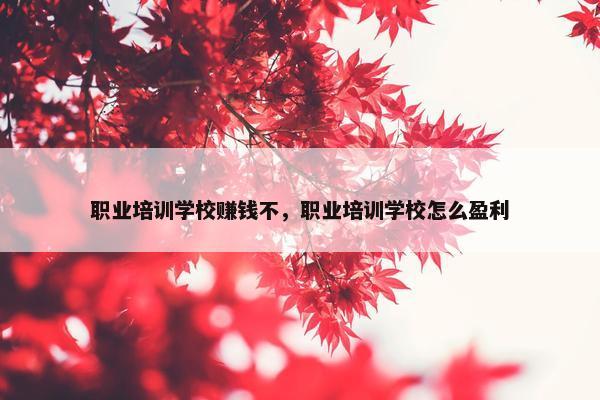 职业培训学校赚钱不，职业培训学校怎么盈利