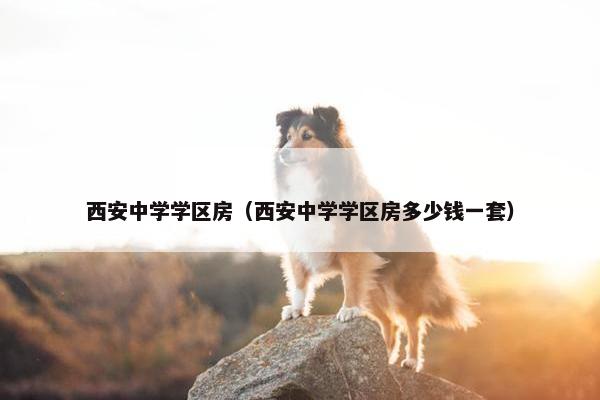 西安中学学区房（西安中学学区房多少钱一套）