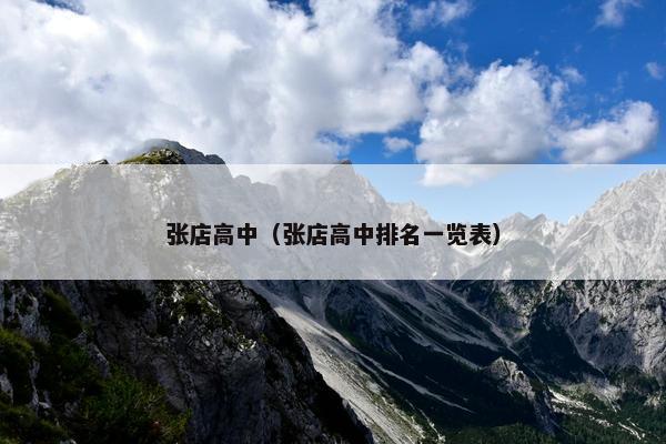 张店高中（张店高中排名一览表）