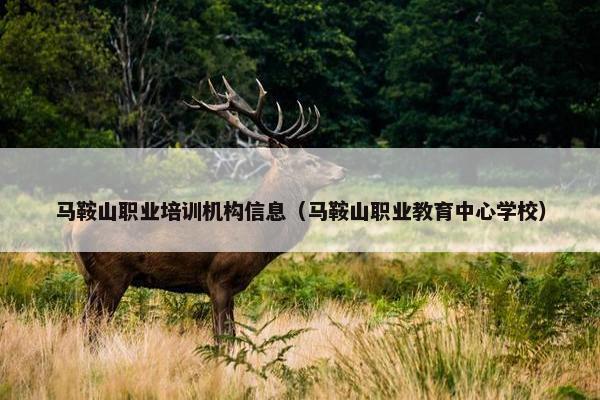 马鞍山职业培训机构信息（马鞍山职业教育中心学校）
