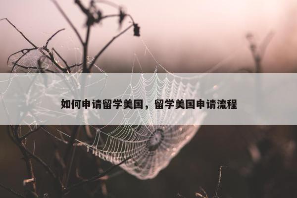 如何申请留学美国，留学美国申请流程