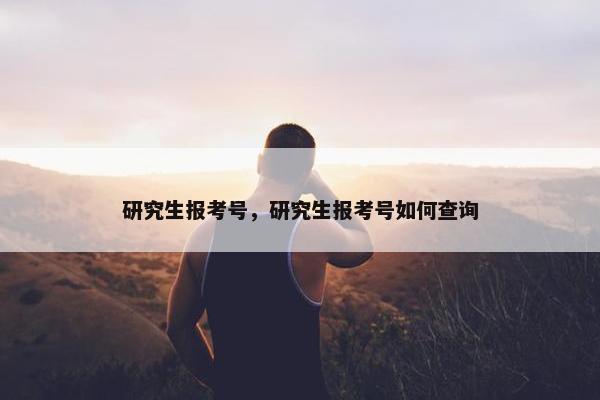 研究生报考号，研究生报考号如何查询