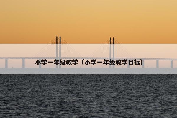 小学一年级教学（小学一年级教学目标）
