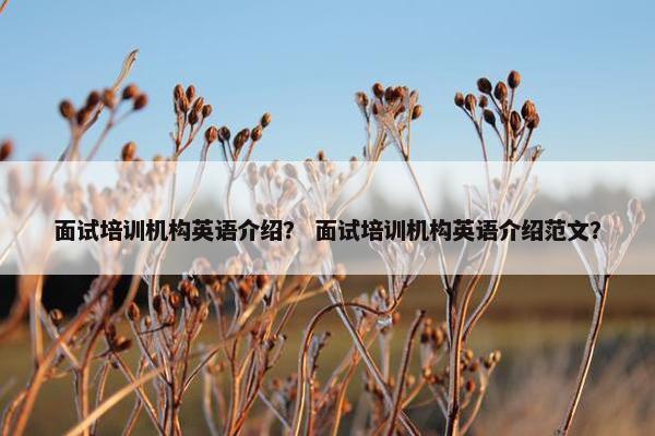 面试培训机构英语介绍？ 面试培训机构英语介绍范文？