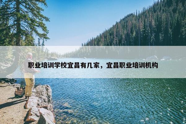 职业培训学校宜昌有几家，宜昌职业培训机构