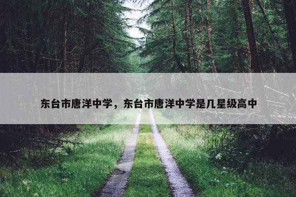 东台市唐洋中学，东台市唐洋中学是几星级高中
