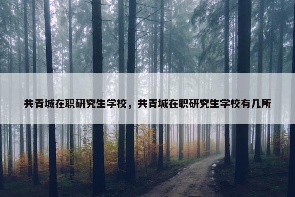 共青城在职研究生学校，共青城在职研究生学校有几所