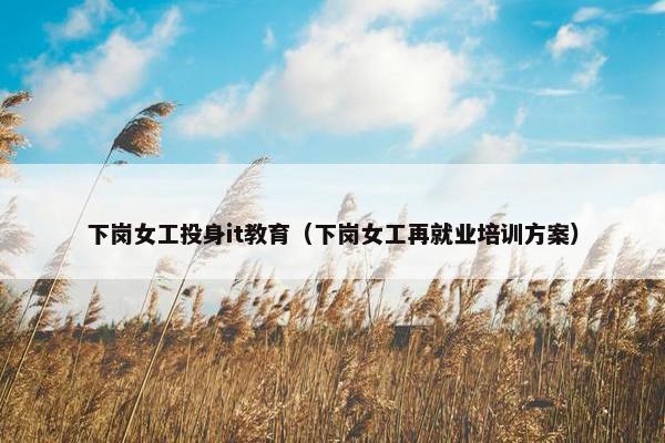 下岗女工投身it教育（下岗女工再就业培训方案）