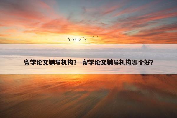 留学论文辅导机构？ 留学论文辅导机构哪个好？