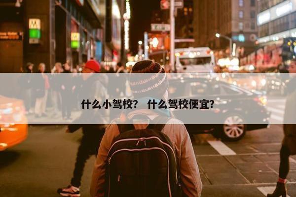 什么小驾校？ 什么驾校便宜？