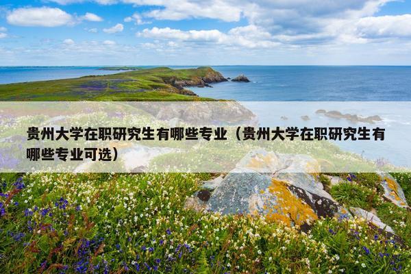 贵州大学在职研究生有哪些专业（贵州大学在职研究生有哪些专业可选）