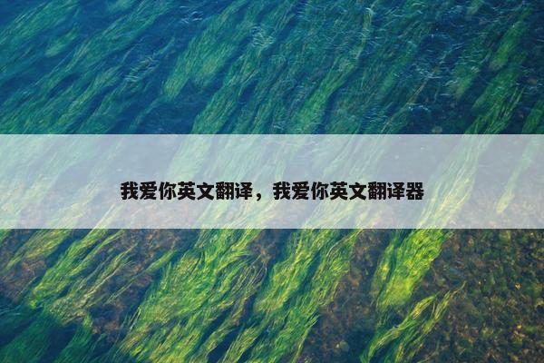我爱你英文翻译，我爱你英文翻译器