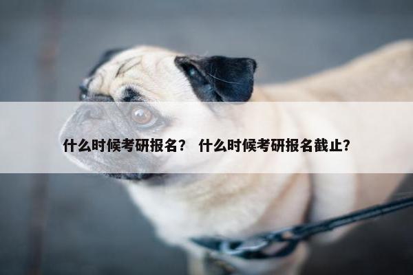 什么时候考研报名？ 什么时候考研报名截止？