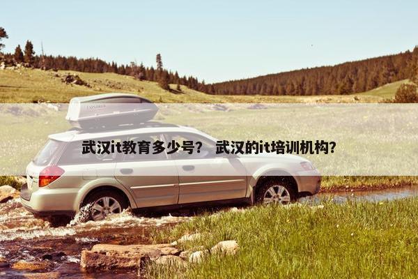 武汉it教育多少号？ 武汉的it培训机构？