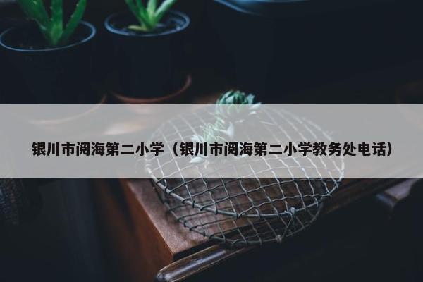 银川市阅海第二小学（银川市阅海第二小学教务处电话）