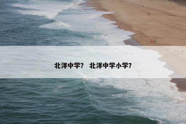 北洋中学？ 北洋中学小学？