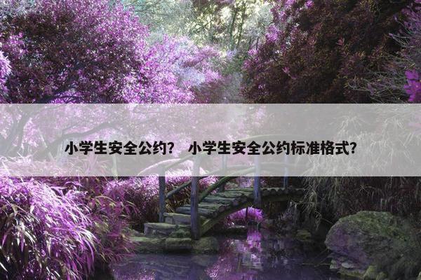 小学生安全公约？ 小学生安全公约标准格式？
