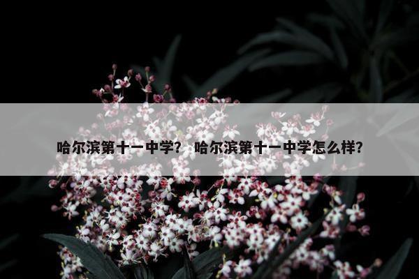 哈尔滨第十一中学？ 哈尔滨第十一中学怎么样？