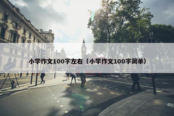 小学作文100字左右（小学作文100字简单）