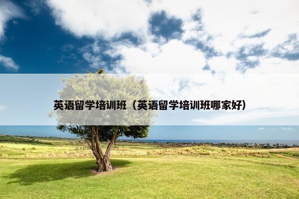 英语留学培训班（英语留学培训班哪家好）
