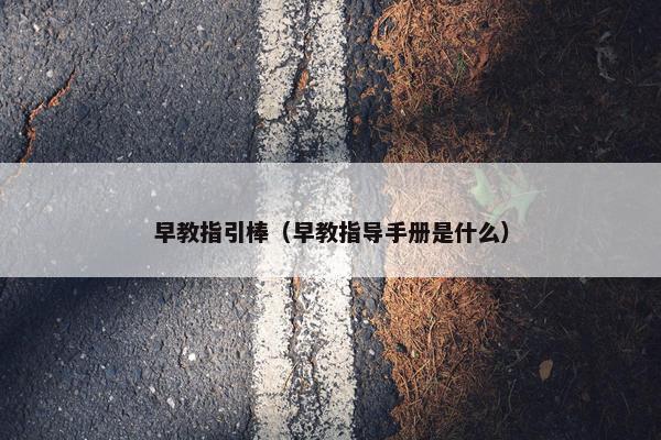 早教指引棒（早教指导手册是什么）