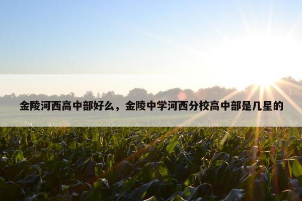 金陵河西高中部好么，金陵中学河西分校高中部是几星的