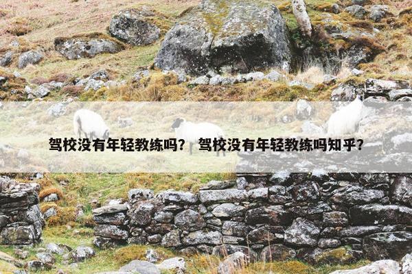 驾校没有年轻教练吗？ 驾校没有年轻教练吗知乎？