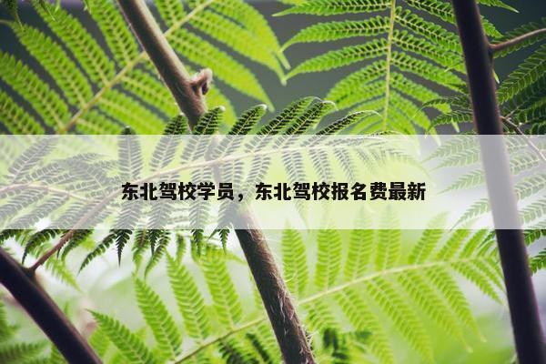 东北驾校学员，东北驾校报名费最新