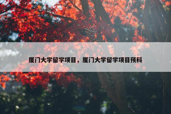 厦门大学留学项目，厦门大学留学项目预科