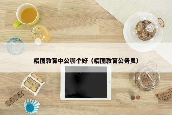 精图教育中公哪个好（精图教育公务员）