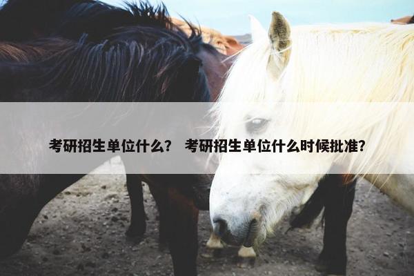 考研招生单位什么？ 考研招生单位什么时候批准？