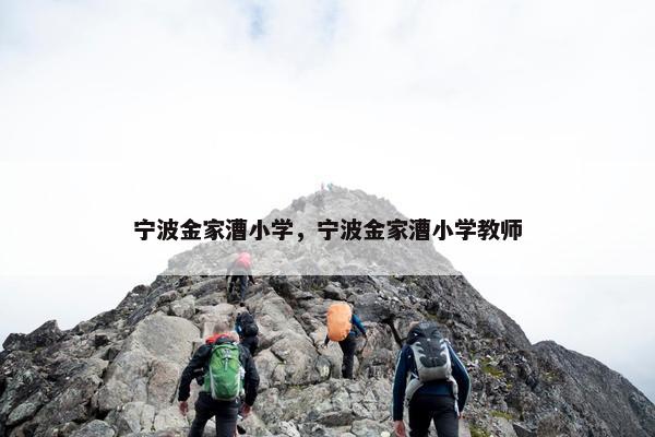 宁波金家漕小学，宁波金家漕小学教师