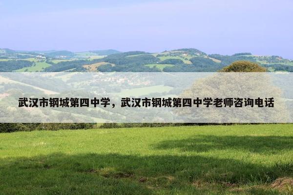 武汉市钢城第四中学，武汉市钢城第四中学老师咨询电话