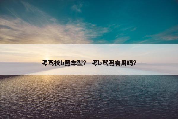 考驾校b照车型？ 考b驾照有用吗？