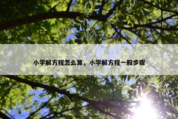 小学解方程怎么算，小学解方程一般步骤