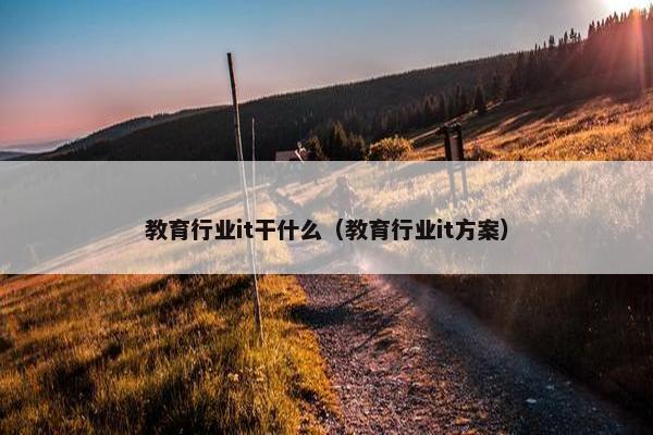 教育行业it干什么（教育行业it方案）
