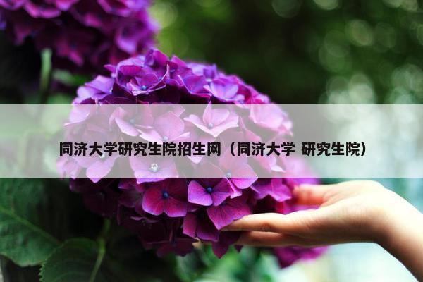 同济大学研究生院招生网（同济大学 研究生院）