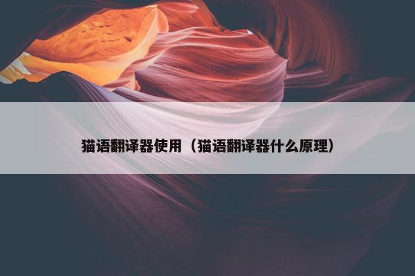 猫语翻译器使用（猫语翻译器什么原理）