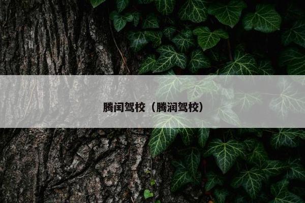 腾闰驾校（腾润驾校）