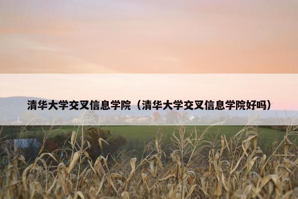 清华大学交叉信息学院（清华大学交叉信息学院好吗）