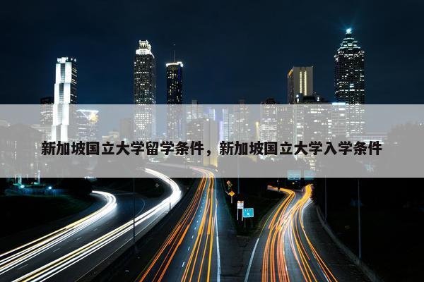 新加坡国立大学留学条件，新加坡国立大学入学条件