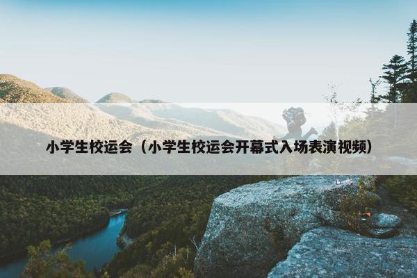 小学生校运会（小学生校运会开幕式入场表演视频）