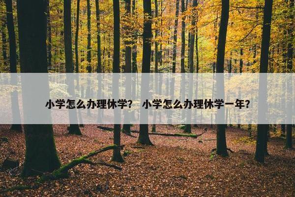 小学怎么办理休学？ 小学怎么办理休学一年？